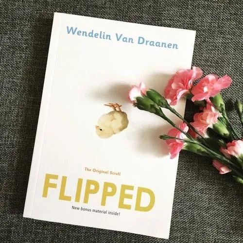 flipped怦然心动chapter59