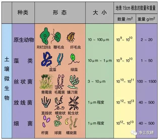 【深度分析】什么是生态农业？如何发展生态农业？一篇文章讲明白PG电子平台(图9)