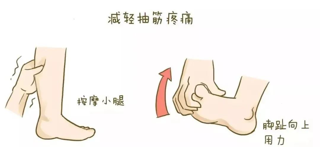 新知图谱, 小课堂︱经常脚“抽筋”,不妨多喝一点牛奶