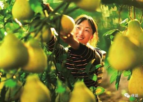 艾瑞：2020年中国生鲜农产品供应链研究报告