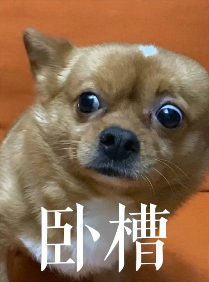 年薪30w的新媒体小编除了会写稿他们还会这几种技能