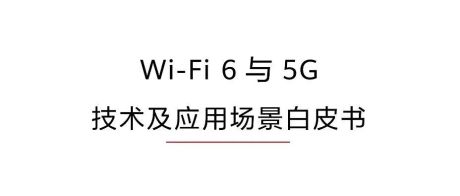 Wi-Fi 6与5G--技术及应用场景白皮书