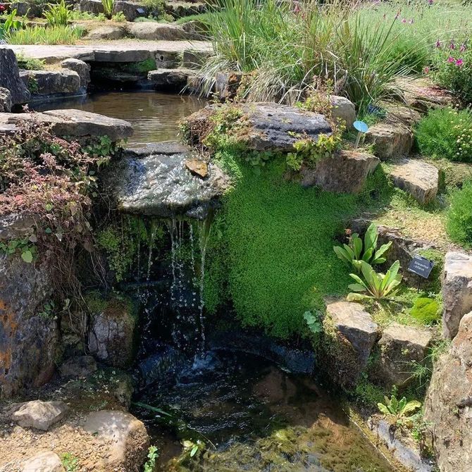 新知達人, 生態池塘打造的水景花園,有這樣一個水景花園,心情簡直美爆