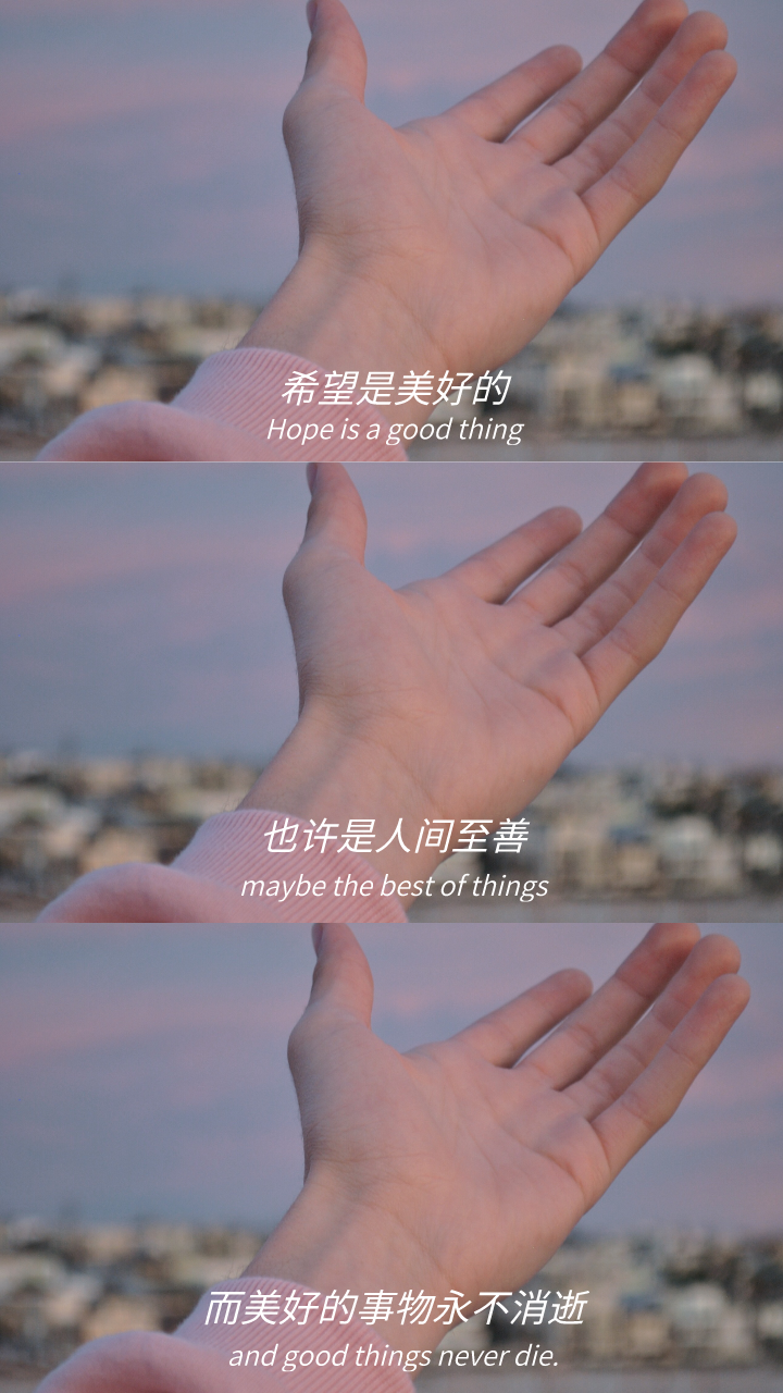 配图:20.我真诚的记录着,因为觉得生活值得19.