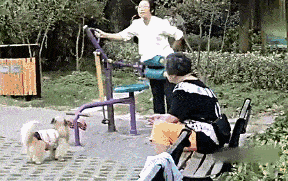 新知图谱, 你想不到社保可以有多骚