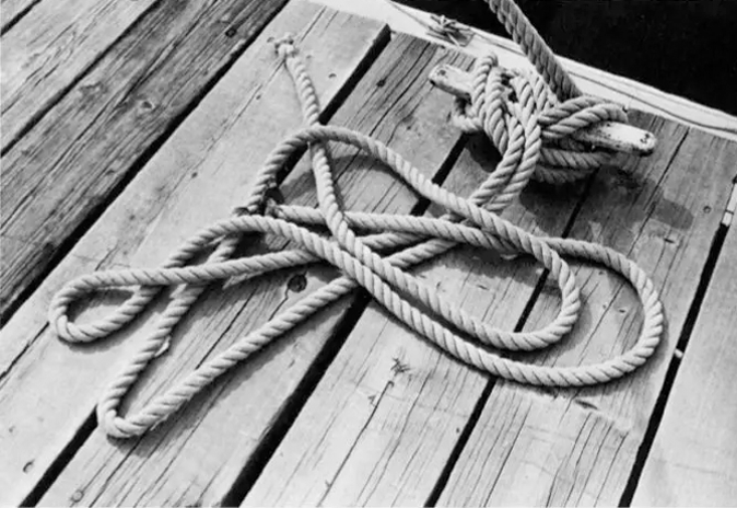 摄影丨摄影构图学_CKO养成计划-商业新知