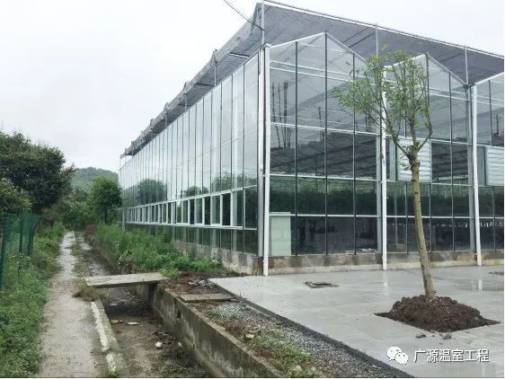 玻璃溫室大棚花卉苗木專用建造三要點