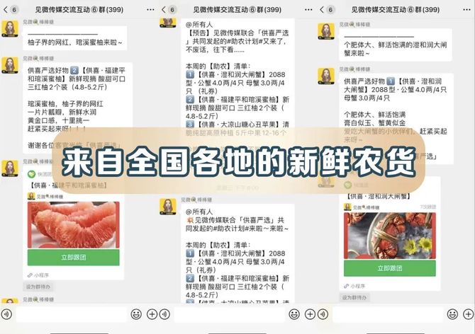 新知达人, 国美放弃“国美”