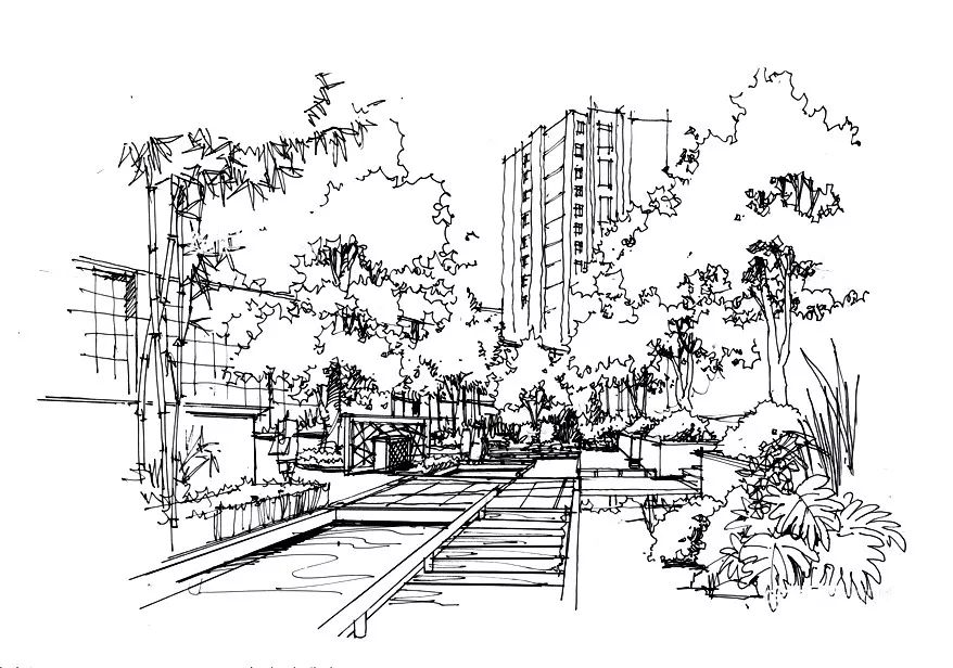 杭州植物园手绘图片