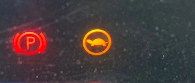 哇!车上有只“小乌龟”？