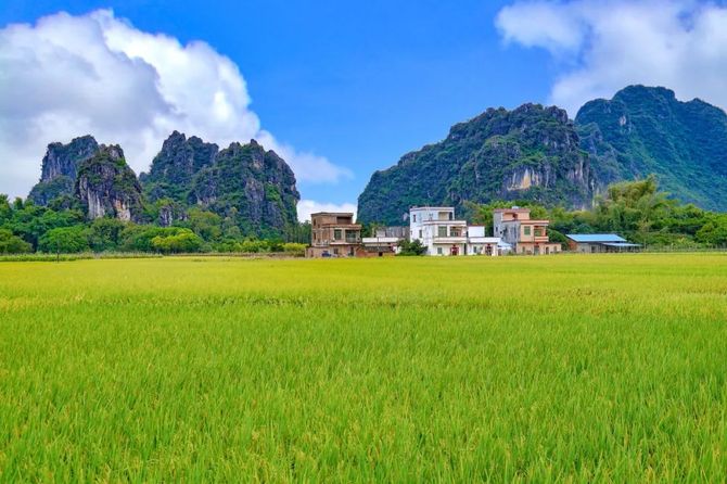 农业行业观察, 【乡村振兴】7大模式+30种类型，农旅融合全图谱