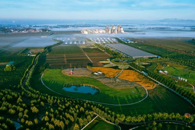 河北保定：高效现代农业赋能乡村产业振兴