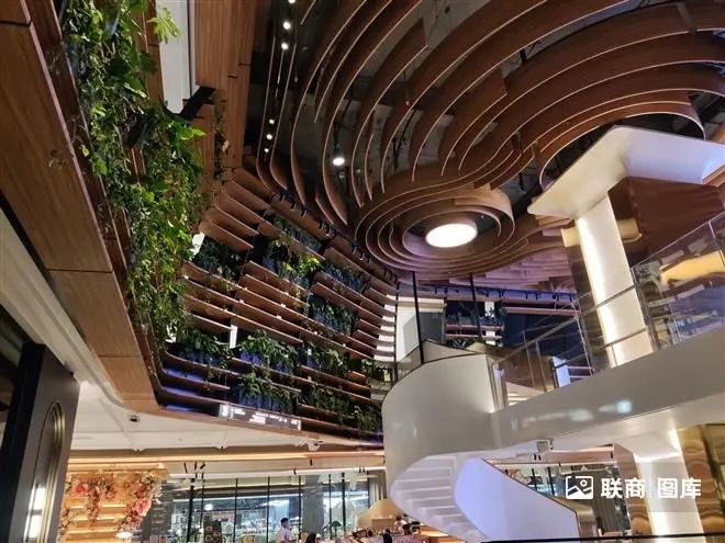 2024,五大人气非标商业的看点和思考_联商网官方账号-商业新知