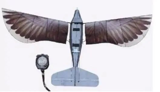续航3小时5分30秒！西工大仿生飞行器“信鸽”刷新吉尼斯世界纪录