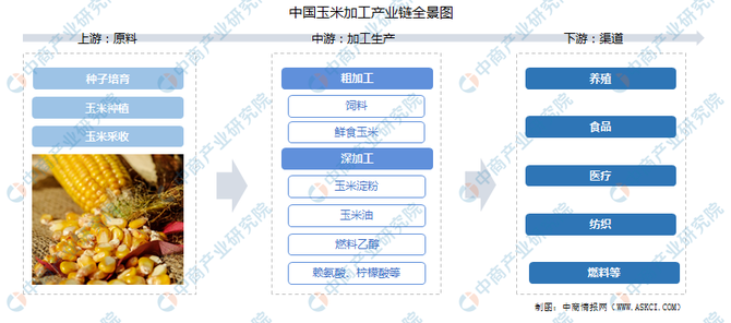 农业数字化, 【农业产业带】中国农产品加工产业链图谱剖析