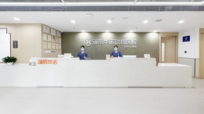 浪潮新消费, 对话瑞辰宠物医院集团：两年跻身行业TOP3，一场专业主义的胜利