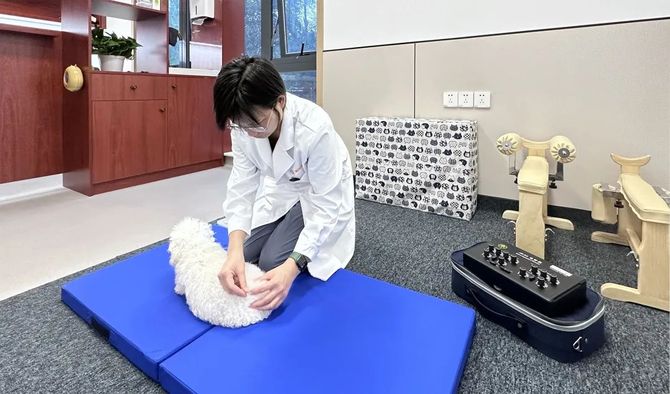 浪潮新消费, 对话瑞辰宠物医院集团：两年跻身行业TOP3，一场专业主义的胜利