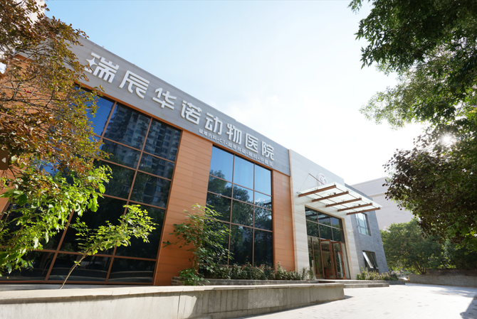 浪潮新消费, 对话瑞辰宠物医院集团：两年跻身行业TOP3，一场专业主义的胜利