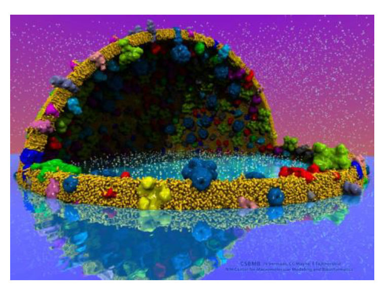 入门级教程！LAMMPS分子动力学、Python、MDAnalysis辅助建模、后处理分析_微算云平台-商业新知