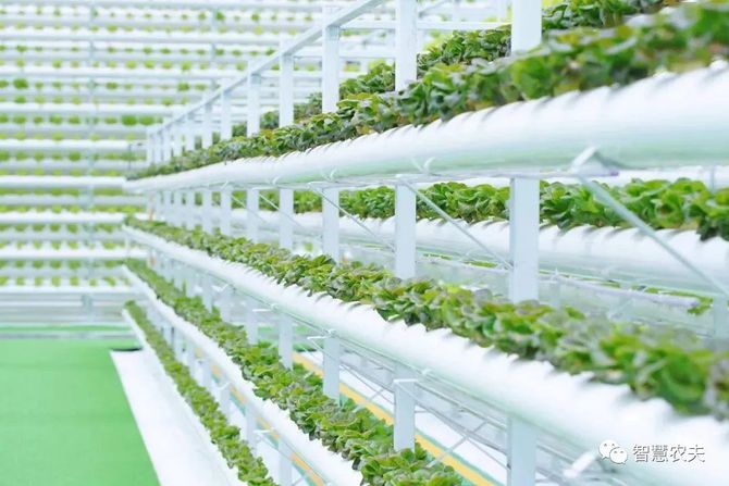 智慧农夫, 现代设施种植建设专项实施方案（2023—2030年）