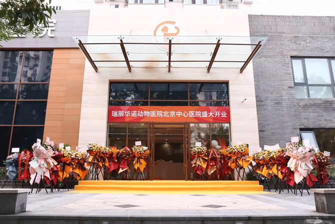 浪潮新消费, 对话瑞辰宠物医院集团：两年跻身行业TOP3，一场专业主义的胜利