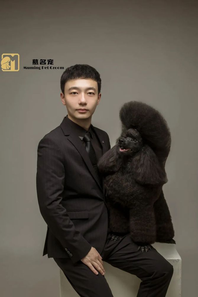 李泽中校长手把手教你学会贵宾犬运动装造型修剪 | 直播