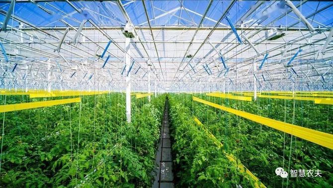 智慧农夫, 现代设施种植建设专项实施方案（2023—2030年）