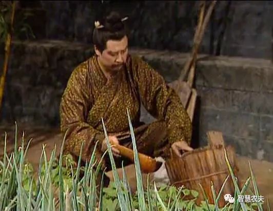 智慧农夫, 温室大棚并非欧洲首创,2000多年前的汉朝已吃上反季节蔬菜！