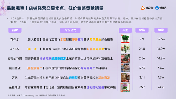行业报告智库, 抖音电商2023年鲜花绿植行业洞察报告
