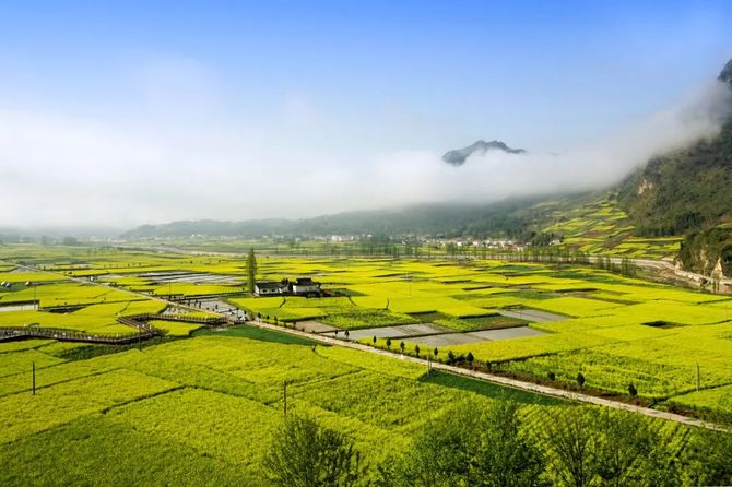 农业行业观察, 【乡村振兴】7大模式+30种类型，农旅融合全图谱