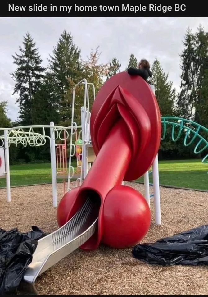 后续:大温这个大jj公园真的火了