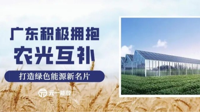 广东：积极拥抱“农光互补”，打造绿色能源新名片