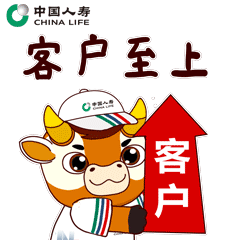 中国人寿文化体系及表情包