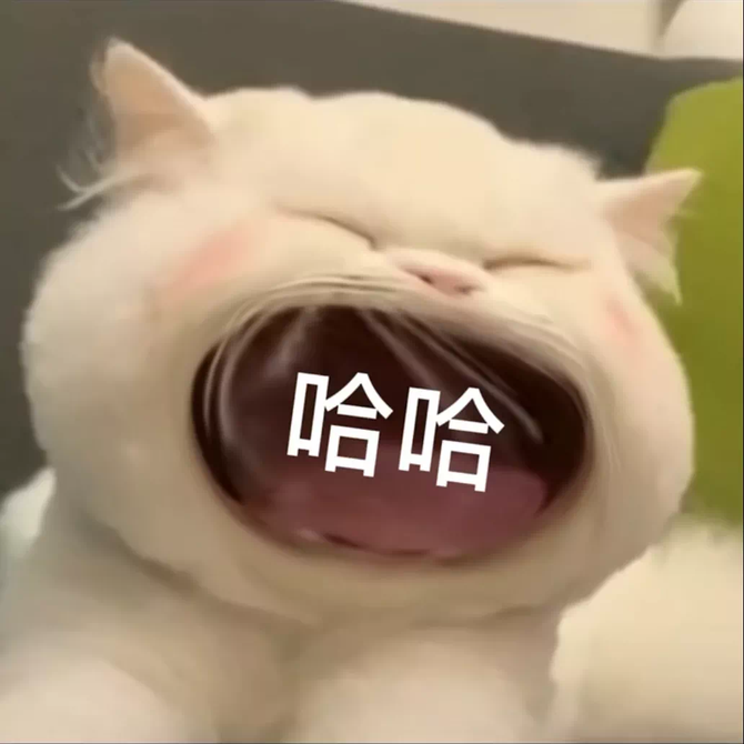 大嘴猫表情包要生活费专用