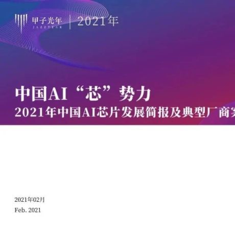 2021年中国AI芯片发展简报及典型厂商案例