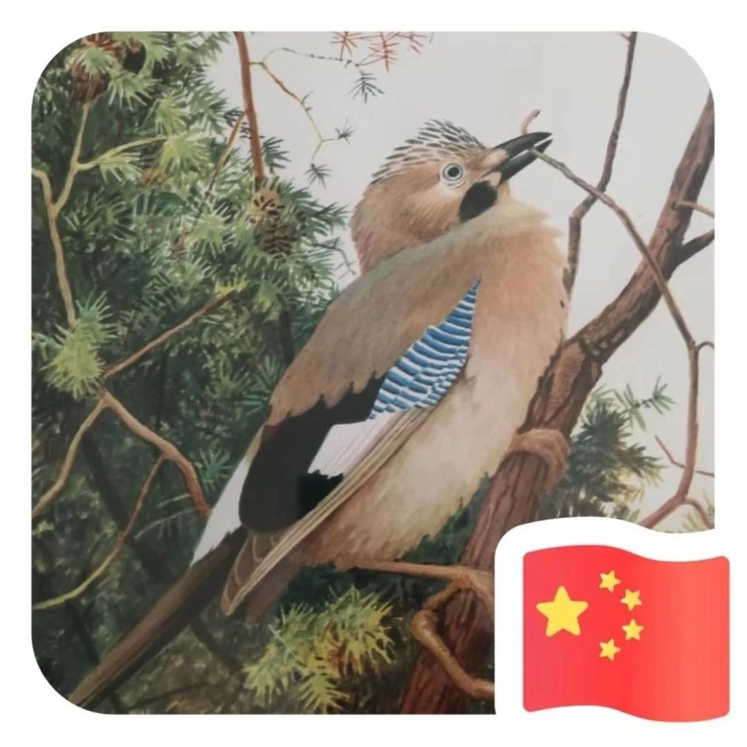  MY 