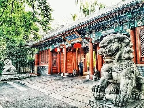 新知图谱, 北大答应补录退档考生,不应该是这件事的终点