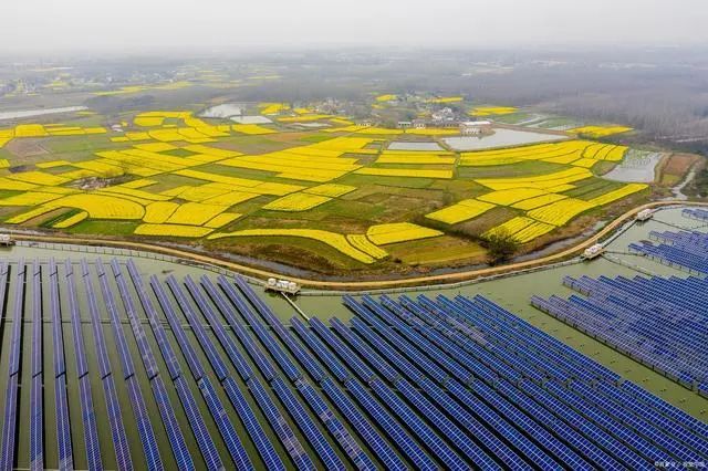 三農日報政策建立產業鏈生產服務體系中國數字農業還處於早期階段農光