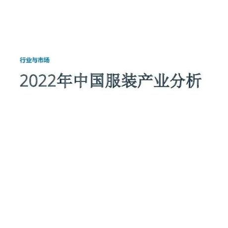 2022年中国服装产业分析