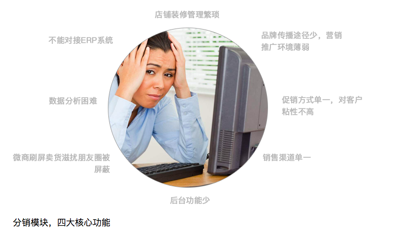 企服商城, 电商代理分销系统解决方案,华锐