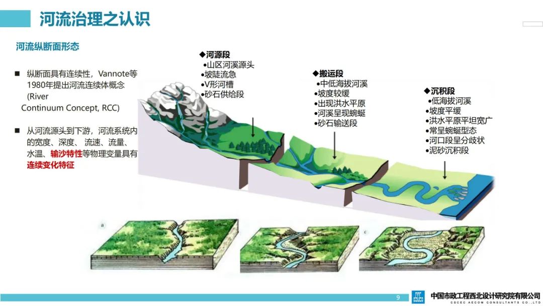 河流廊道生态再生与形态重塑—以北方某多泥沙河流综合治理设计实践