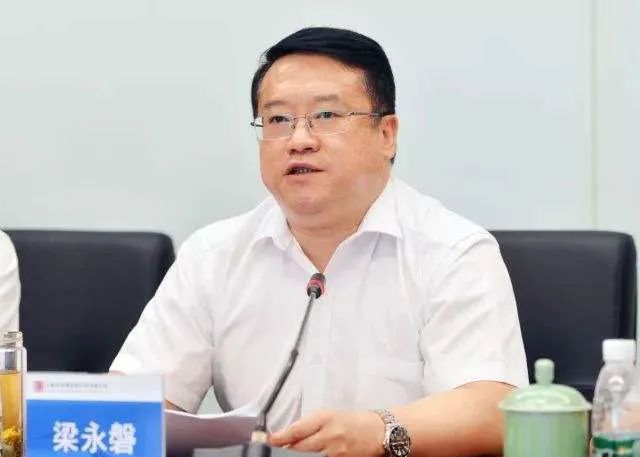 华夏能源网, 梁永磐连任大唐发电董事长,继续引领新能源转型