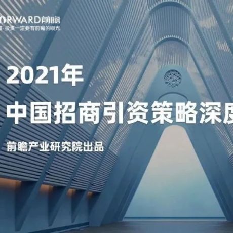 2021年中国招商引资策略深度分析报告