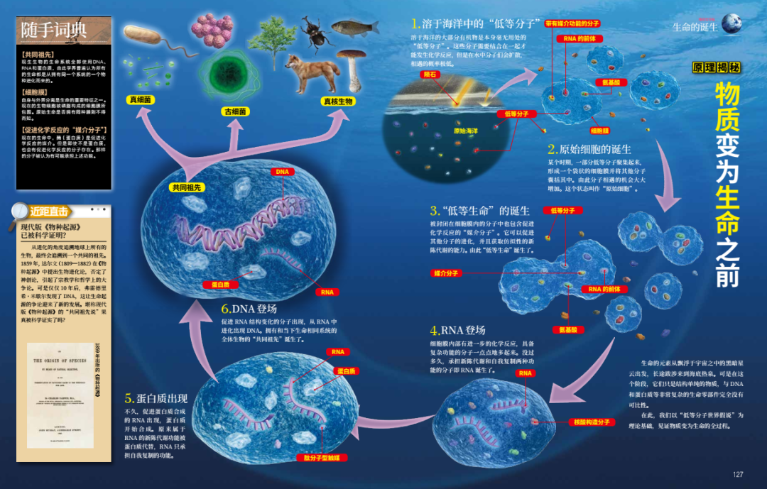 地球生命诞生图片