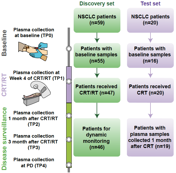 calibrate-lc/ec-crt研究登陸mol cancer,液體活檢助力nsclc精準放