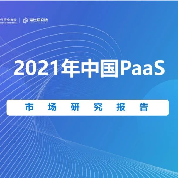2021中国PaaS市场研究报告预计在2025年突破2000亿元_文琳行业研究商业新知