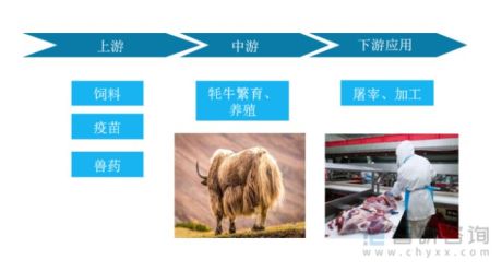 2022年中国牦牛行业核心要素一览(附产业链全景、发展历程市场供需、市场集中度)