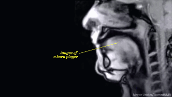 爱上黑科技, 涨知识