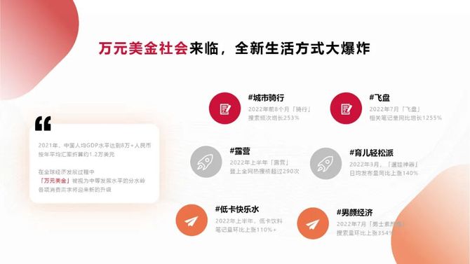 新知达人, 小红书IDEA灵感营销深度解读报告