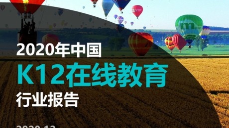 Fastdata极数：2020年中国K12在线教育行业报告